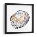 Conchas Simples Iv - Gerard Paul Deshayes | Cuadro decorativo de Canvas Lab
