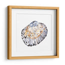 Conchas Simples Iv - Gerard Paul Deshayes | Cuadro decorativo de Canvas Lab