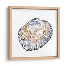 Conchas Simples Iv - Gerard Paul Deshayes | Cuadro decorativo de Canvas Lab