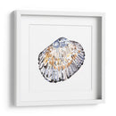Conchas Simples Iv - Gerard Paul Deshayes | Cuadro decorativo de Canvas Lab