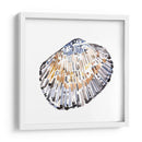 Conchas Simples Iv - Gerard Paul Deshayes | Cuadro decorativo de Canvas Lab
