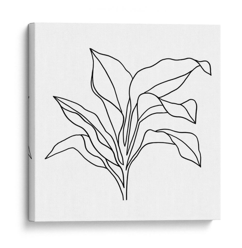 Contorno De Follaje I - Jacob Green | Cuadro decorativo de Canvas Lab