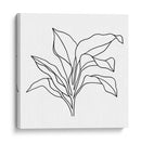 Contorno De Follaje I - Jacob Green | Cuadro decorativo de Canvas Lab