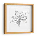 Contorno De Follaje I - Jacob Green | Cuadro decorativo de Canvas Lab