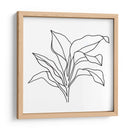 Contorno De Follaje I - Jacob Green | Cuadro decorativo de Canvas Lab