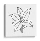 Contorno Follaje Ii - Jacob Green | Cuadro decorativo de Canvas Lab