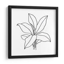 Contorno Follaje Ii - Jacob Green | Cuadro decorativo de Canvas Lab