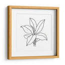 Contorno Follaje Ii - Jacob Green | Cuadro decorativo de Canvas Lab