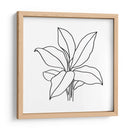 Contorno Follaje Ii - Jacob Green | Cuadro decorativo de Canvas Lab