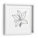 Contorno Follaje Ii - Jacob Green | Cuadro decorativo de Canvas Lab