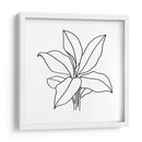 Contorno Follaje Ii - Jacob Green | Cuadro decorativo de Canvas Lab