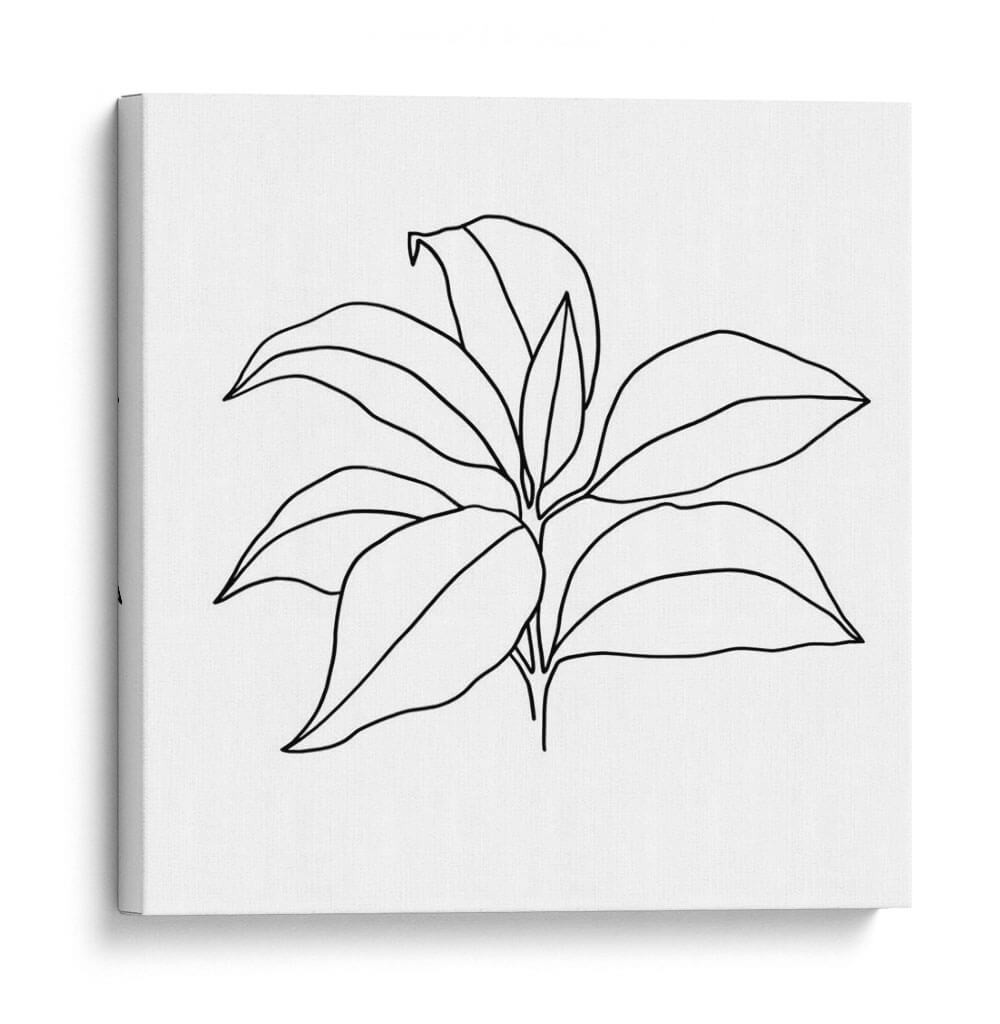 Contorno Follaje Iii - Jacob Green | Cuadro decorativo de Canvas Lab