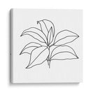 Contorno Follaje Iii - Jacob Green | Cuadro decorativo de Canvas Lab