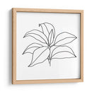 Contorno Follaje Iii - Jacob Green | Cuadro decorativo de Canvas Lab