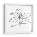 Contorno Follaje Iii - Jacob Green | Cuadro decorativo de Canvas Lab