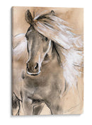 Caballo Dibujado I - Jennifer Paxton Parker | Cuadro decorativo de Canvas Lab
