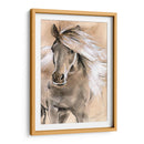 Caballo Dibujado I - Jennifer Paxton Parker | Cuadro decorativo de Canvas Lab