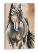 Caballo Esbozado Ii - Jennifer Paxton Parker | Cuadro decorativo de Canvas Lab