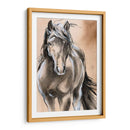 Caballo Esbozado Ii - Jennifer Paxton Parker | Cuadro decorativo de Canvas Lab