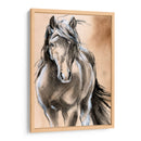 Caballo Esbozado Ii - Jennifer Paxton Parker | Cuadro decorativo de Canvas Lab