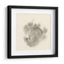 Broc Buster I - W. Rutledge | Cuadro decorativo de Canvas Lab