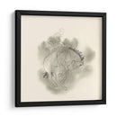 Broc Buster I - W. Rutledge | Cuadro decorativo de Canvas Lab