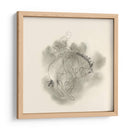 Broc Buster I - W. Rutledge | Cuadro decorativo de Canvas Lab