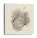 Broc Buster Ii - W. Rutledge | Cuadro decorativo de Canvas Lab