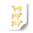 Hereford Trio I - W. Rutledge | Cuadro decorativo de Canvas Lab