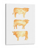 Hereford Trio Ii - W. Rutledge | Cuadro decorativo de Canvas Lab