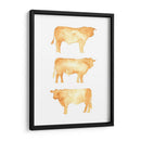 Hereford Trio Ii - W. Rutledge | Cuadro decorativo de Canvas Lab