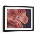 Geranios De Jardín I - W. Rutledge | Cuadro decorativo de Canvas Lab