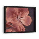 Geranios De Jardín I - W. Rutledge | Cuadro decorativo de Canvas Lab