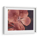 Geranios De Jardín I - W. Rutledge | Cuadro decorativo de Canvas Lab