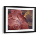 Geraniums De Jardín Ii - W. Rutledge | Cuadro decorativo de Canvas Lab