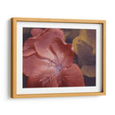 Geraniums De Jardín Ii - W. Rutledge | Cuadro decorativo de Canvas Lab