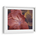 Geraniums De Jardín Ii - W. Rutledge | Cuadro decorativo de Canvas Lab