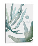 Seaside Seaweed Iv - Vision Studio | Cuadro decorativo de Canvas Lab