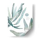 Seaside Seaweed Iv - Vision Studio | Cuadro decorativo de Canvas Lab