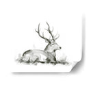 Vuelta Reclinada I - W. Rutledge | Cuadro decorativo de Canvas Lab