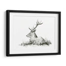 Stag Recumente Ii - W. Rutledge | Cuadro decorativo de Canvas Lab