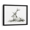 Stag Recumente Ii - W. Rutledge | Cuadro decorativo de Canvas Lab