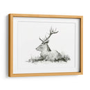 Stag Recumente Ii - W. Rutledge | Cuadro decorativo de Canvas Lab