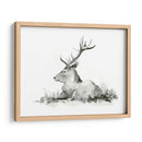 Stag Recumente Ii - W. Rutledge | Cuadro decorativo de Canvas Lab