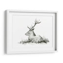 Stag Recumente Ii - W. Rutledge | Cuadro decorativo de Canvas Lab