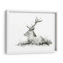 Stag Recumente Ii - W. Rutledge | Cuadro decorativo de Canvas Lab