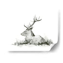 Stag Recumente Ii - W. Rutledge | Cuadro decorativo de Canvas Lab