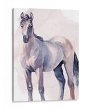 Caballo En Acuarela Ii - Jennifer Paxton Parker | Cuadro decorativo de Canvas Lab