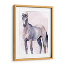 Caballo En Acuarela Ii - Jennifer Paxton Parker | Cuadro decorativo de Canvas Lab