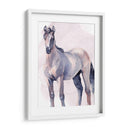 Caballo En Acuarela Ii - Jennifer Paxton Parker | Cuadro decorativo de Canvas Lab